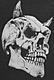 little sapo's Avatar