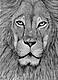 Gshockx819's Avatar