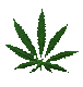 Glob3Trott3r's Avatar