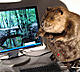 TheBeaver's Avatar