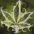 TCO's Avatar